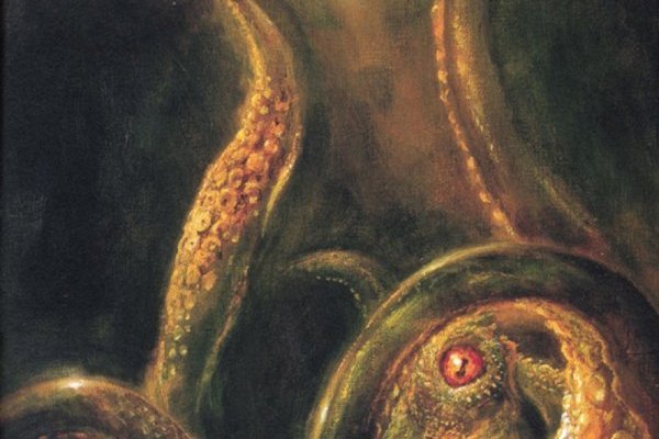 Kraken площадка