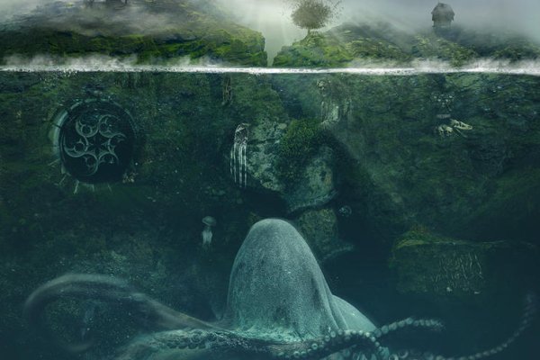 Kraken рабочий